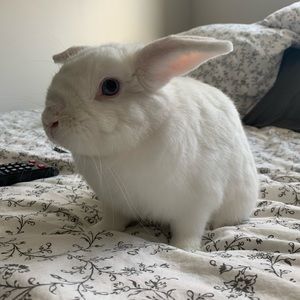 Meet your Posher, Julia